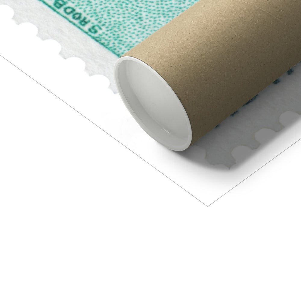 Laos Chrisochroa Beetle Fine Art Print