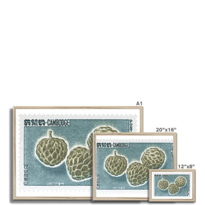 Cambodia Durian Framed Print