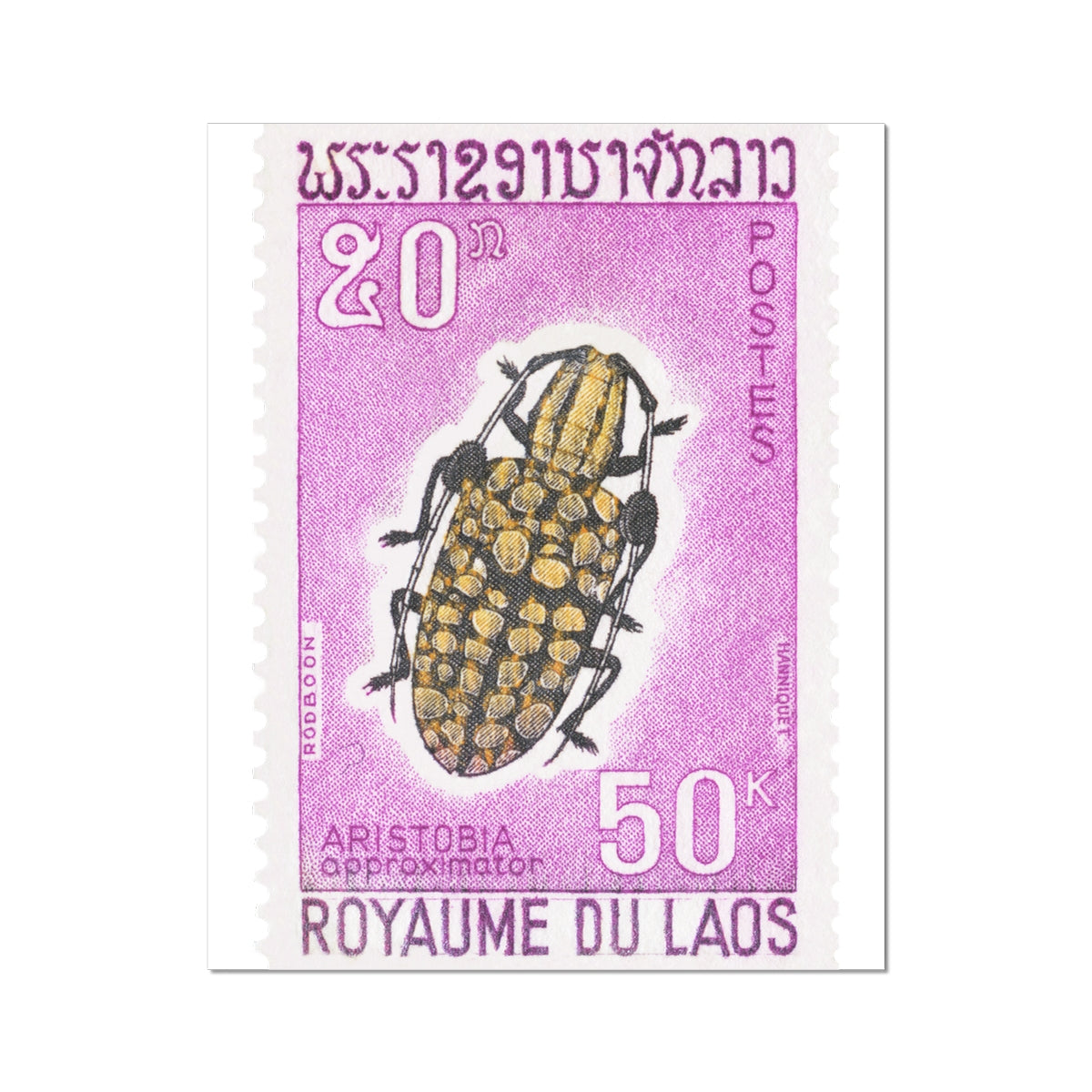 Laos Aristobia Beetle Fine Art Print