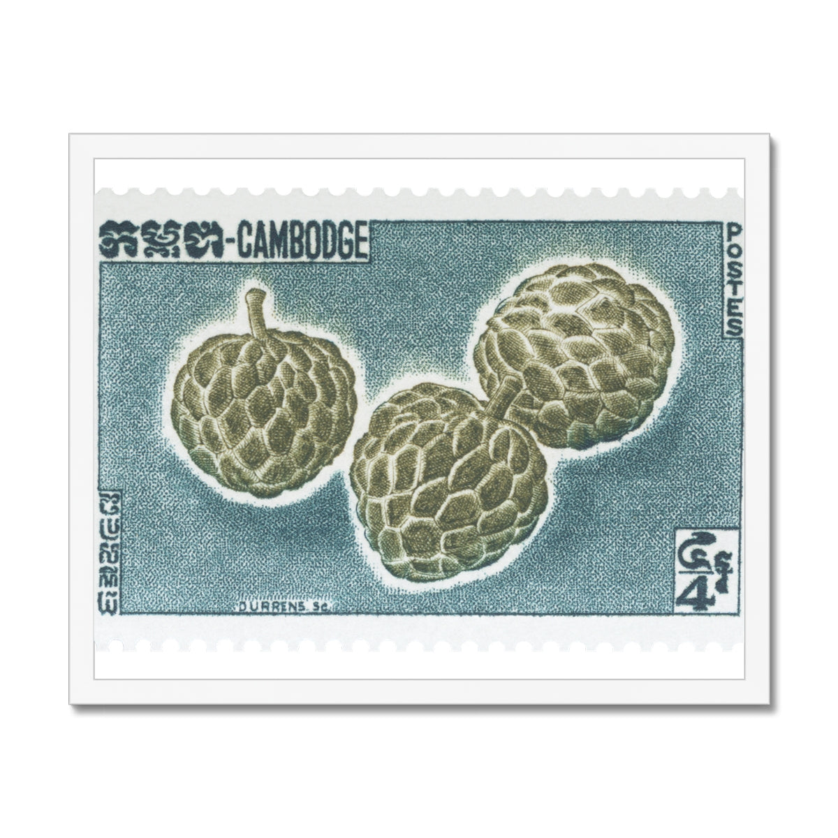 Cambodia Durian Framed Print
