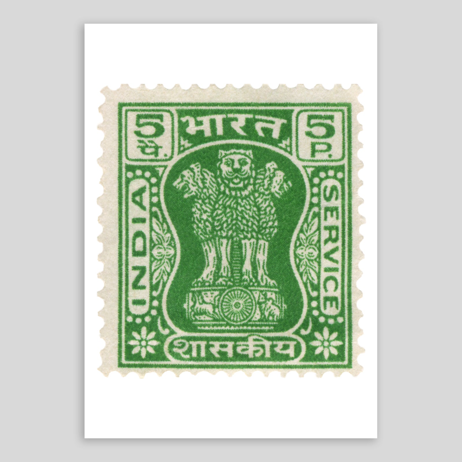 India Lions Green Fine Art Print