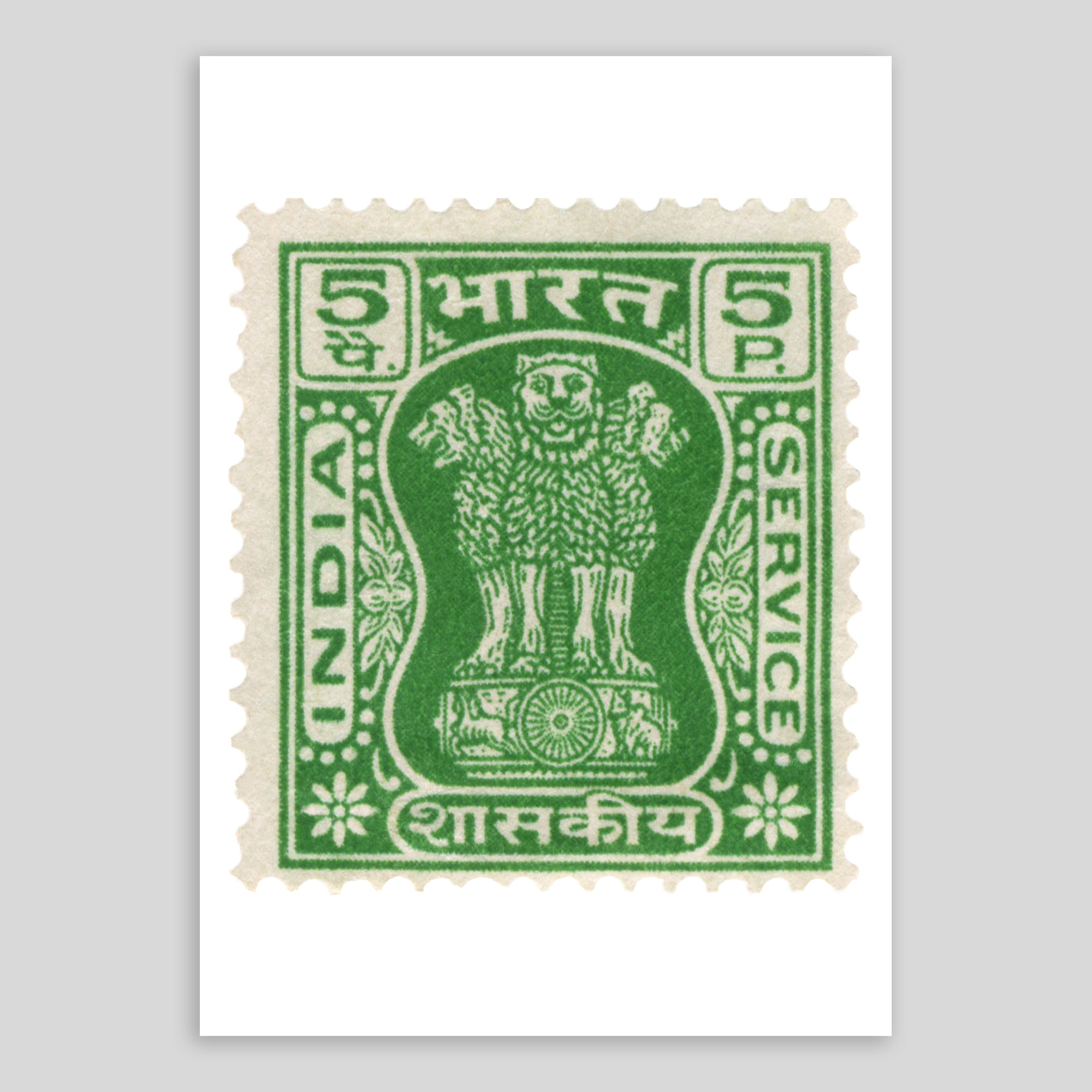 India Lions Green Fine Art Print