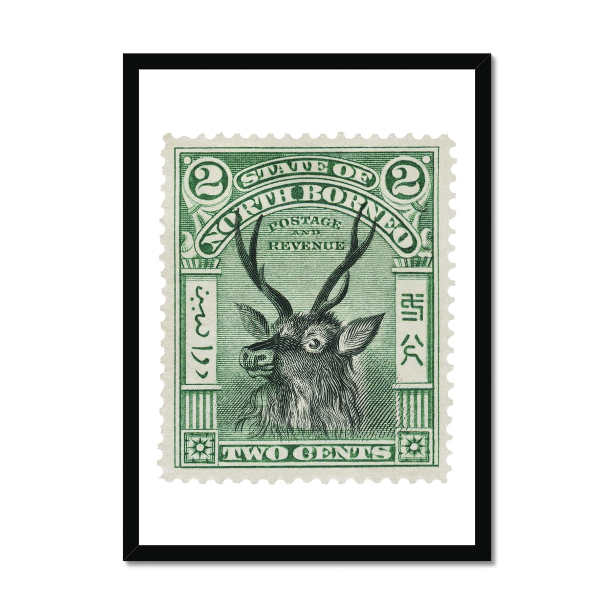 North Borneo Deer 1897 Framed Print