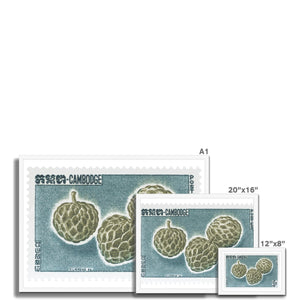 Cambodia Durian Framed Print