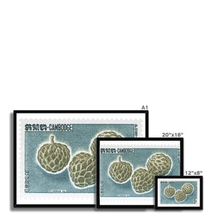 Cambodia Durian Framed Print