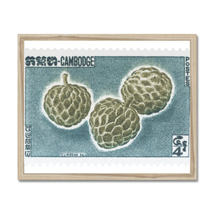 Cambodia Durian Framed Print