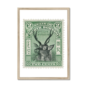 North Borneo Deer 1897 Framed Print