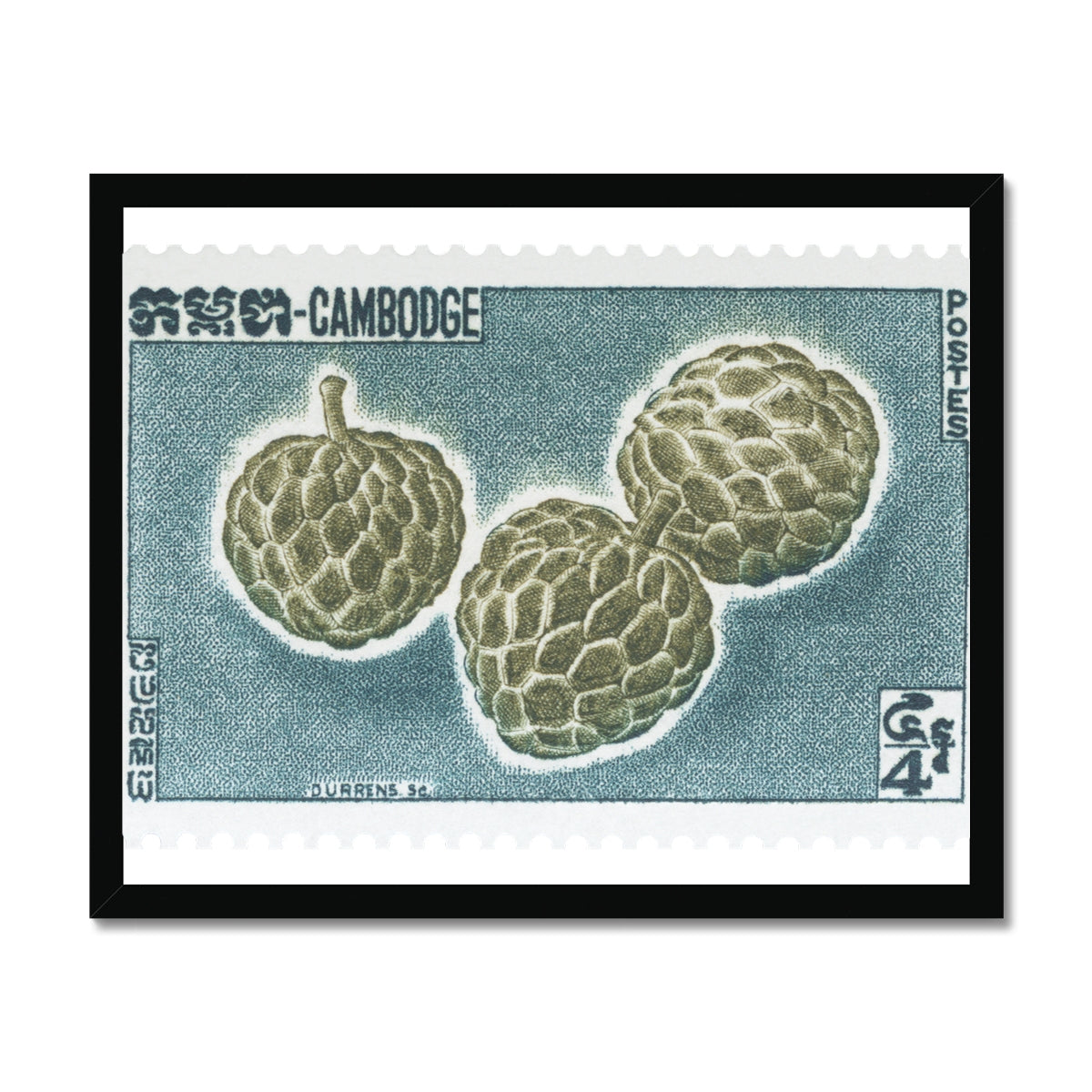 Cambodia Durian Framed Print