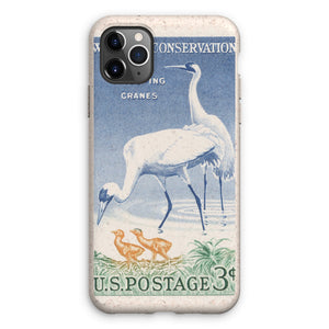 USA Whooping Cranes Eco Phone Case