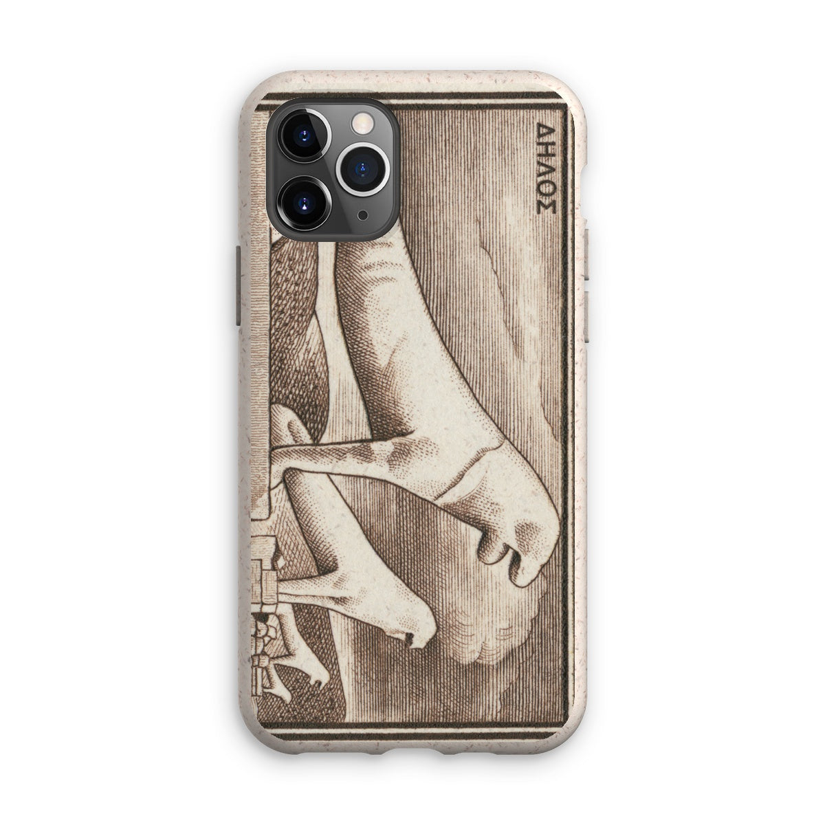 Greece Delos Ruins Eco Phone Case