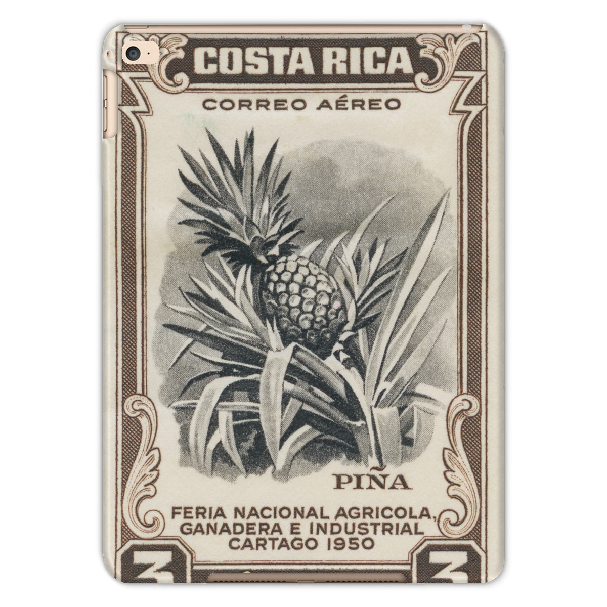 Costa Rica Pineapple Tablet Cases