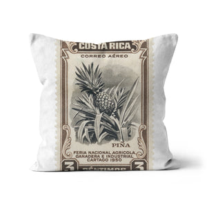 Costa Rica Pineapple Cushion