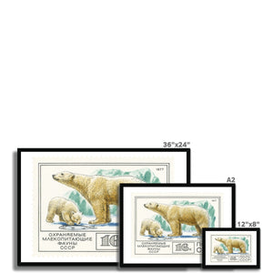 USSR Polar Bears Framed Print