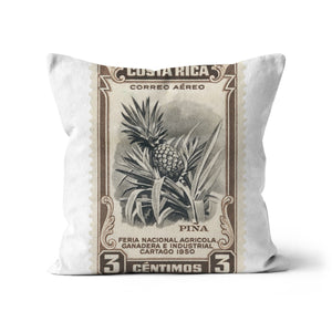 Costa Rica Pineapple Cushion