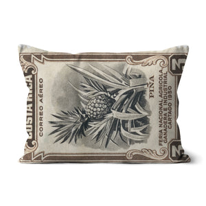 Costa Rica Pineapple Cushion