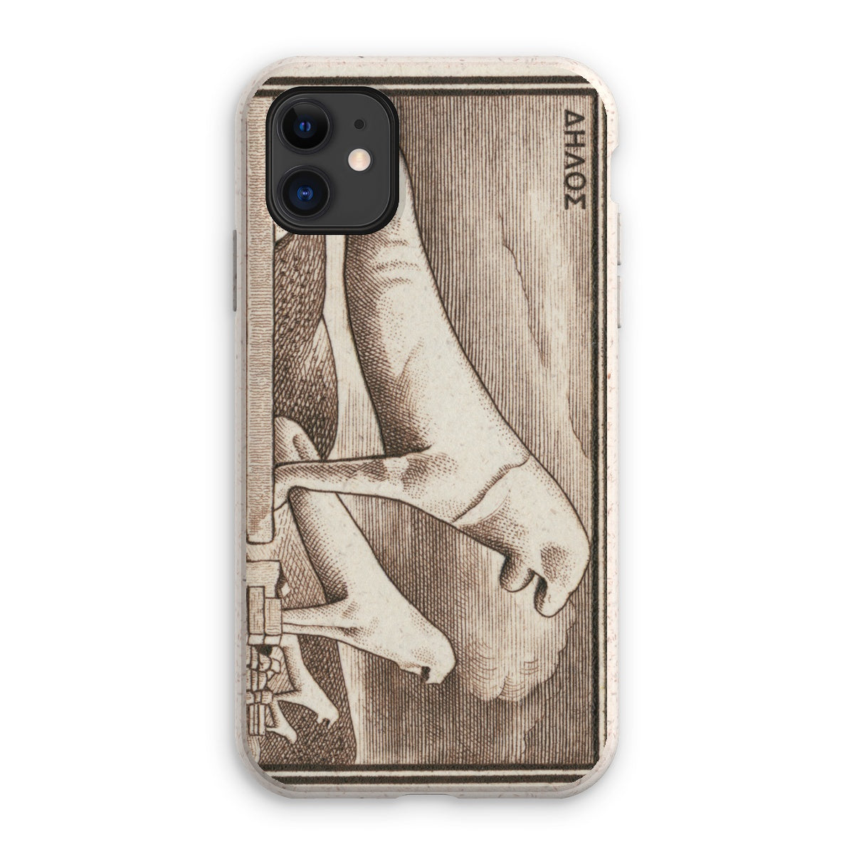 Greece Delos Ruins Eco Phone Case