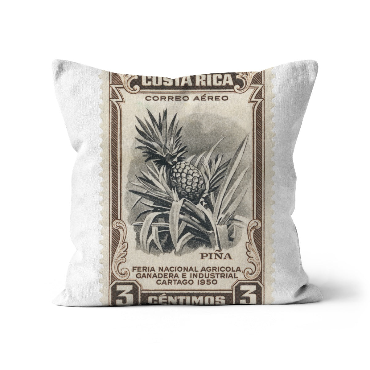 Costa Rica Pineapple Cushion