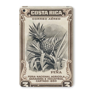 Costa Rica Pineapple Tablet Cases