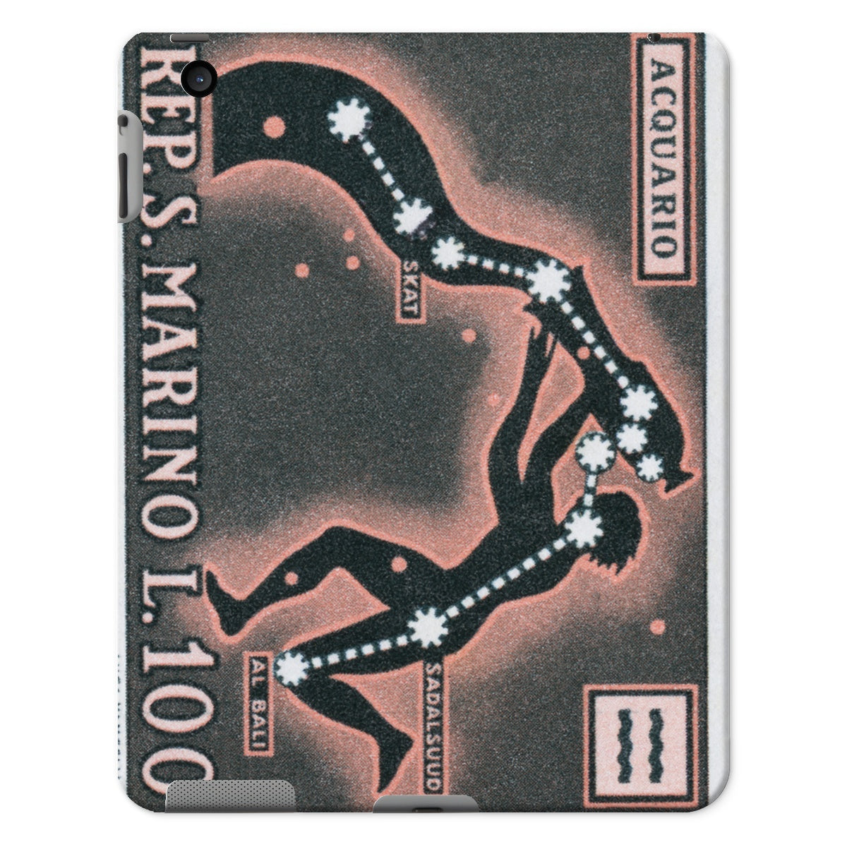 San Marino Aquarius Constellation Tablet Cases