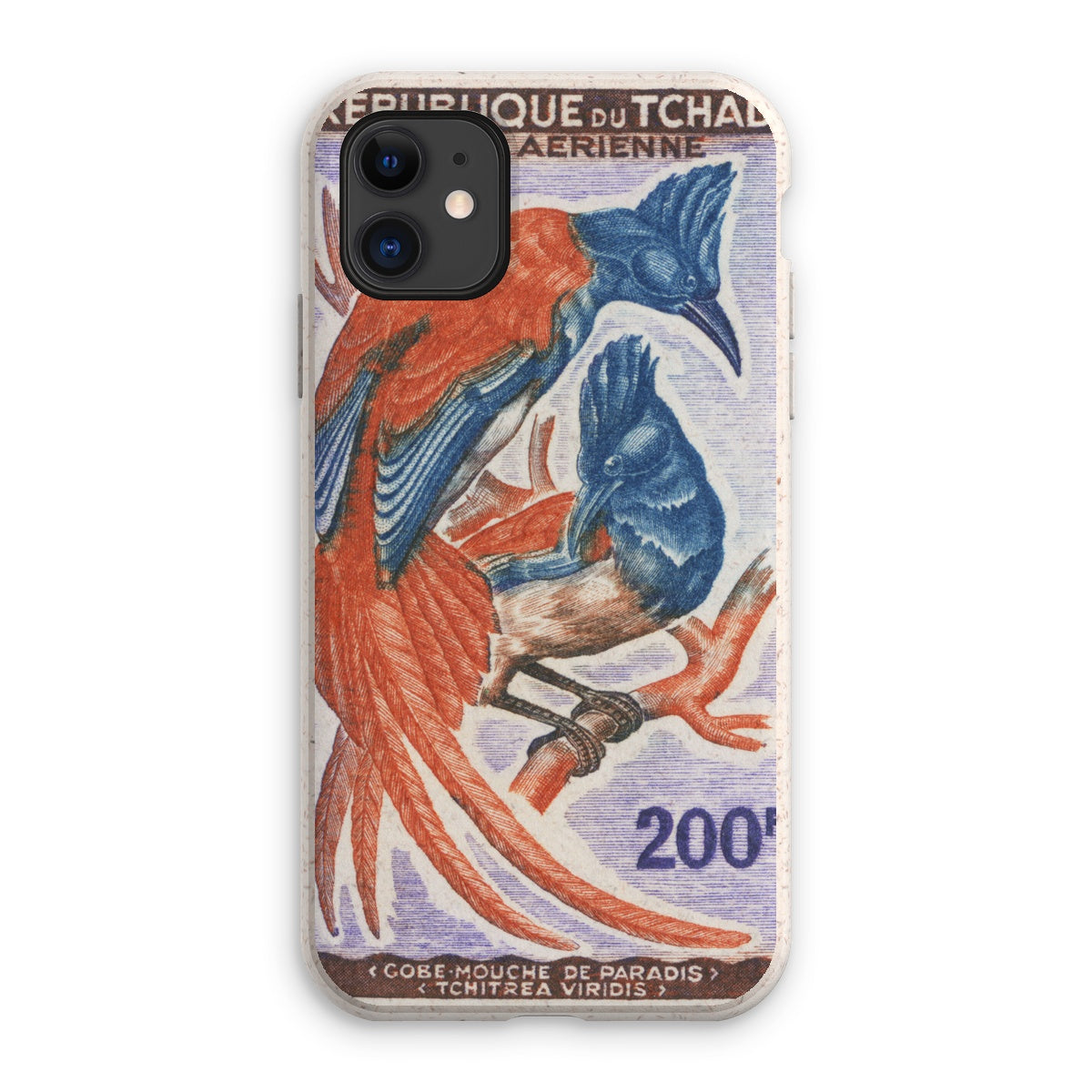 Tchad Tchitrea Viridis Bird Eco Phone Case