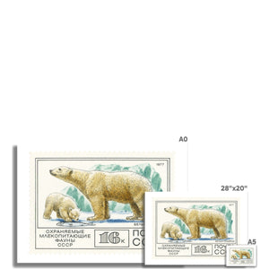 USSR Polar Bears Fine Art Print