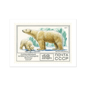 USSR Polar Bears Fine Art Print