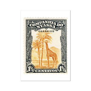 Nyassa Giraffe Fine Art Print