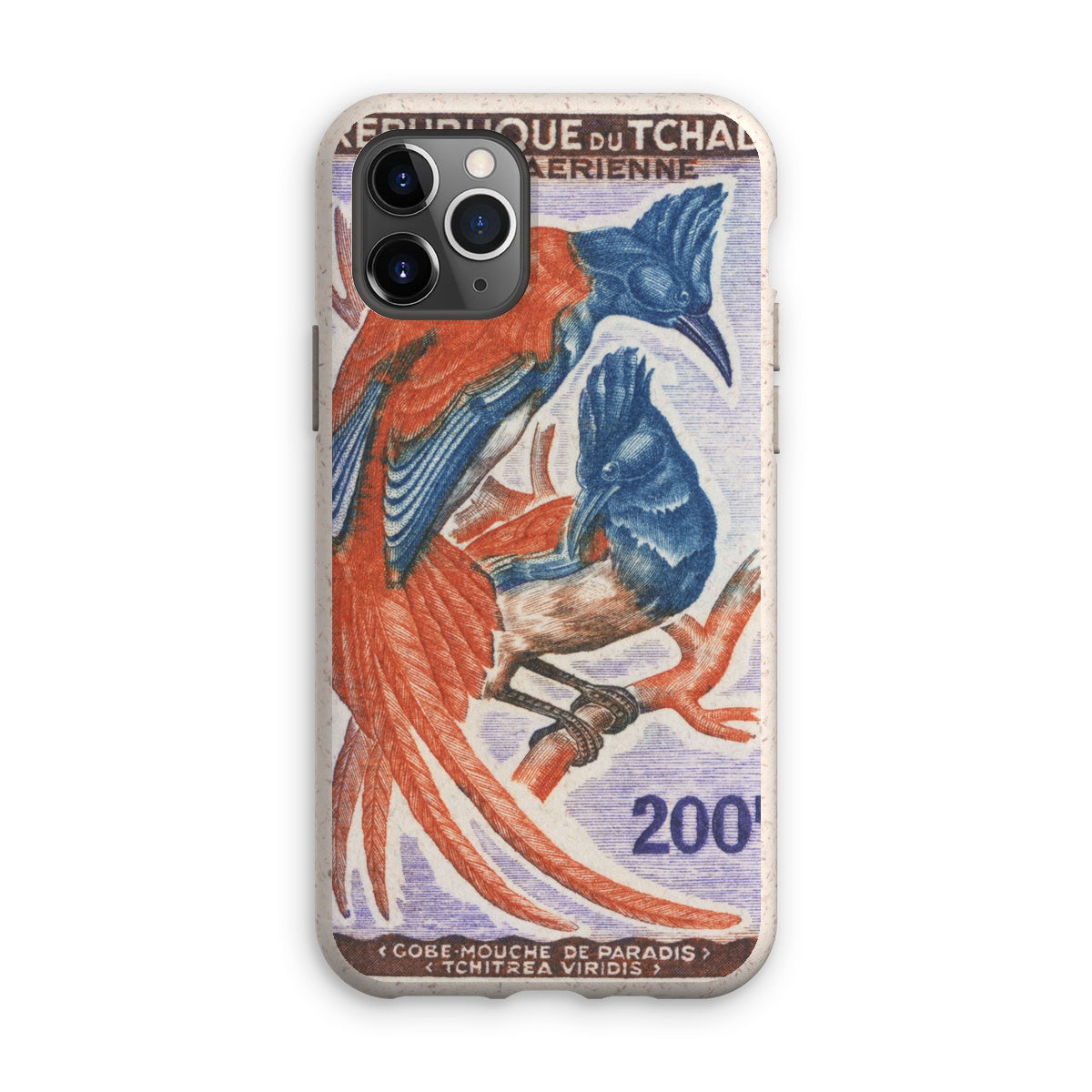 Tchad Tchitrea Viridis Bird Eco Phone Case