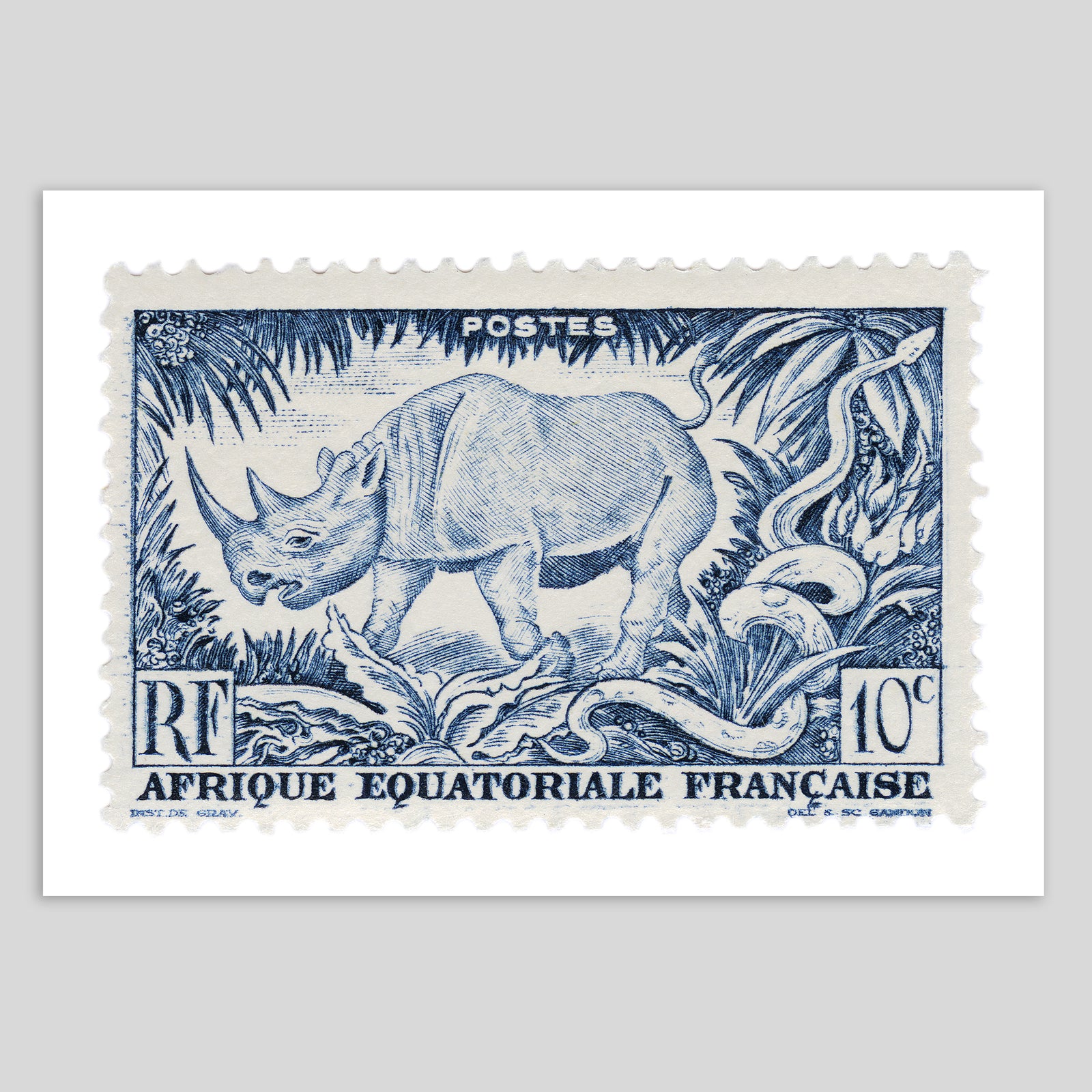 Afrique Equatoriale Francaise Rhino Fine Art Print