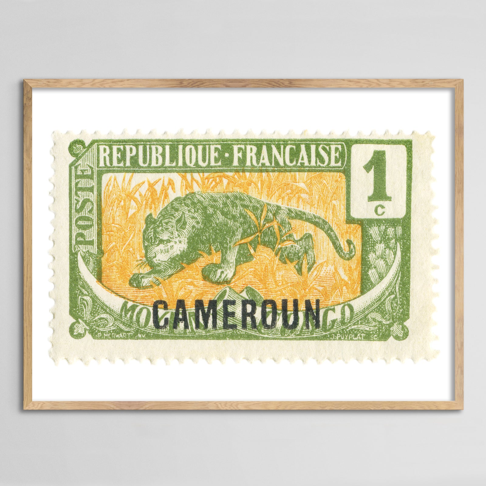 Cameroun Leopard Framed Print