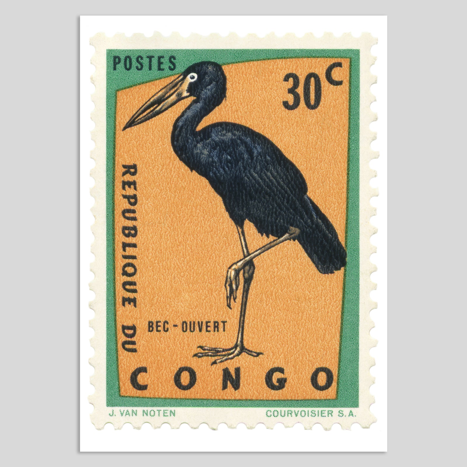 Congo Black Stork Fine Art Print