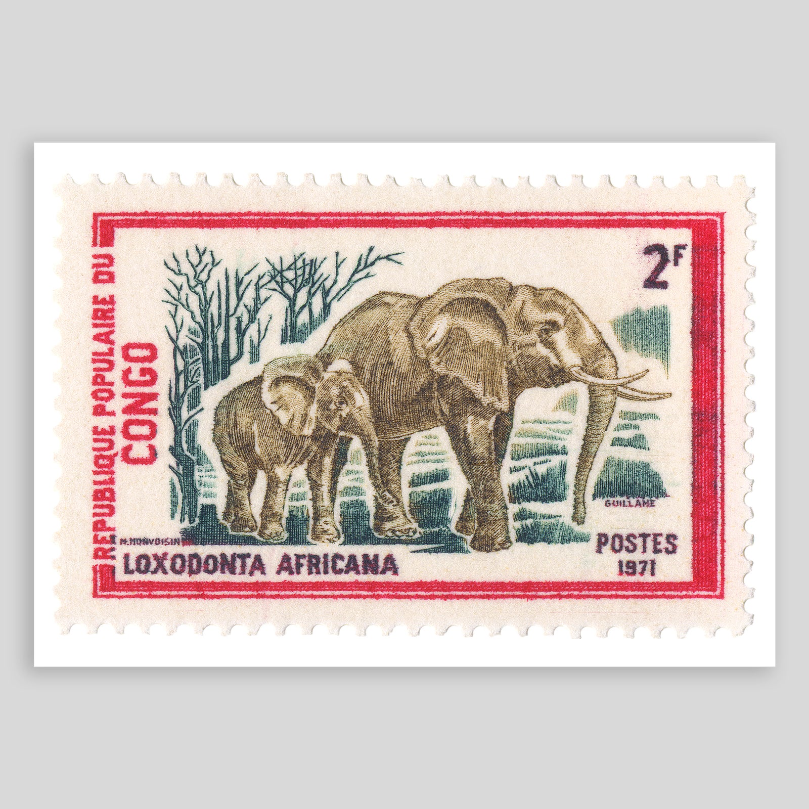 Congo Elephant Fine Art Print