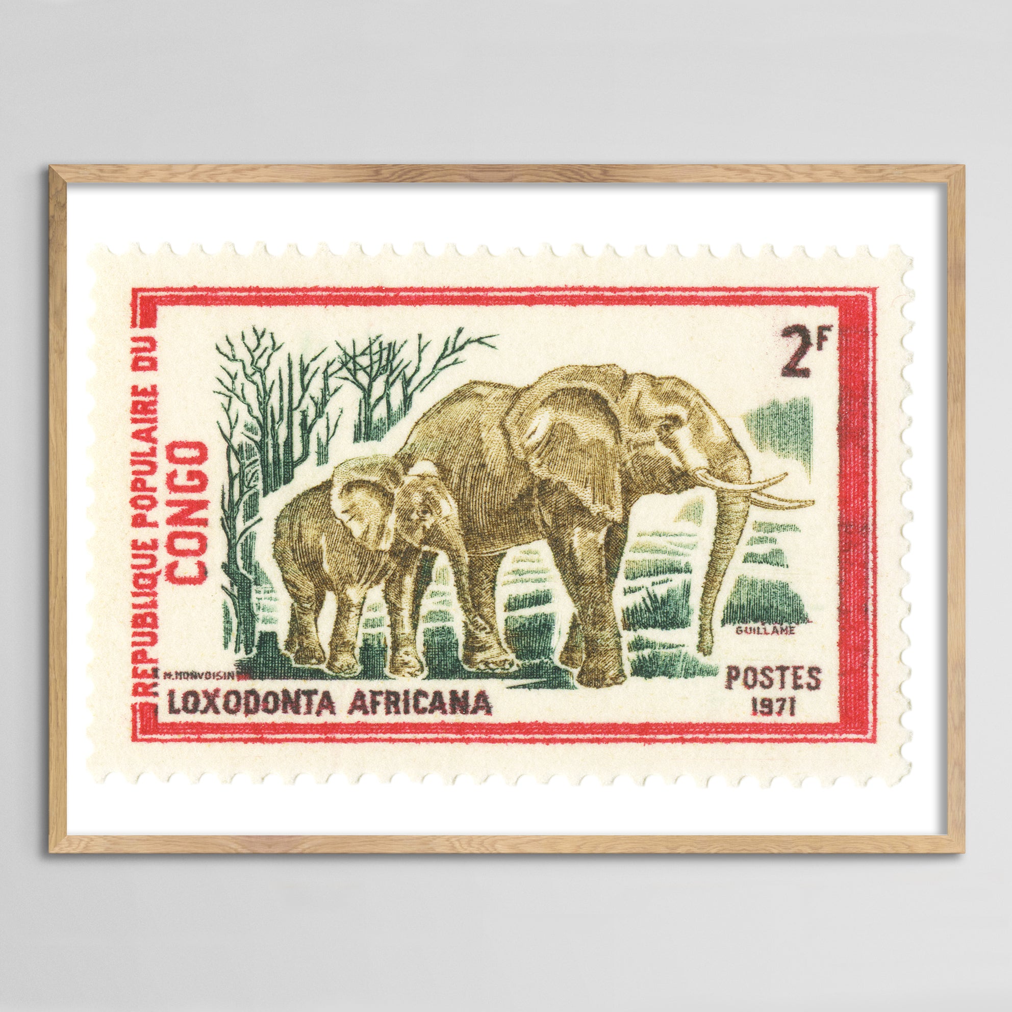 Congo Elephant Framed Print