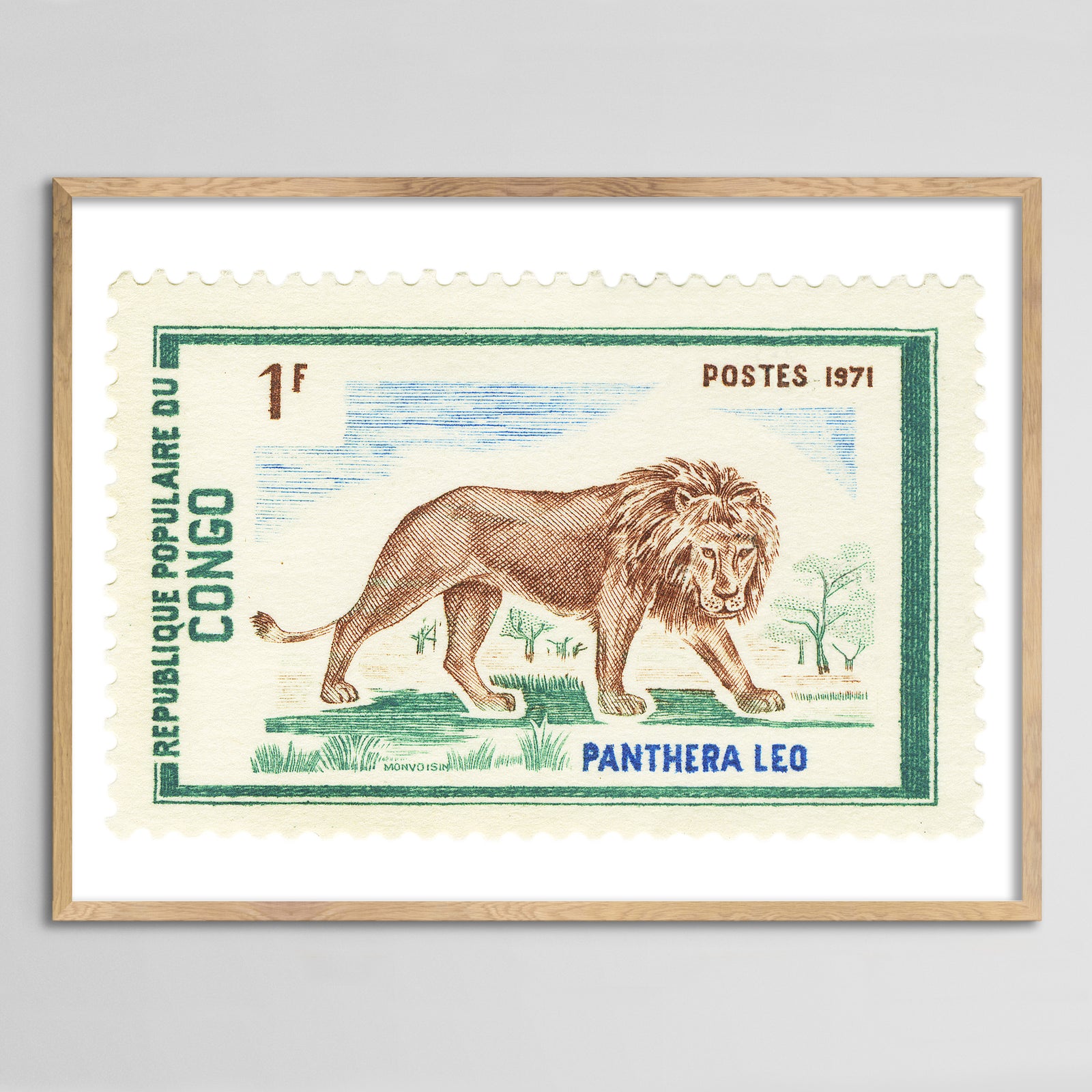 Congo Lion Framed Print