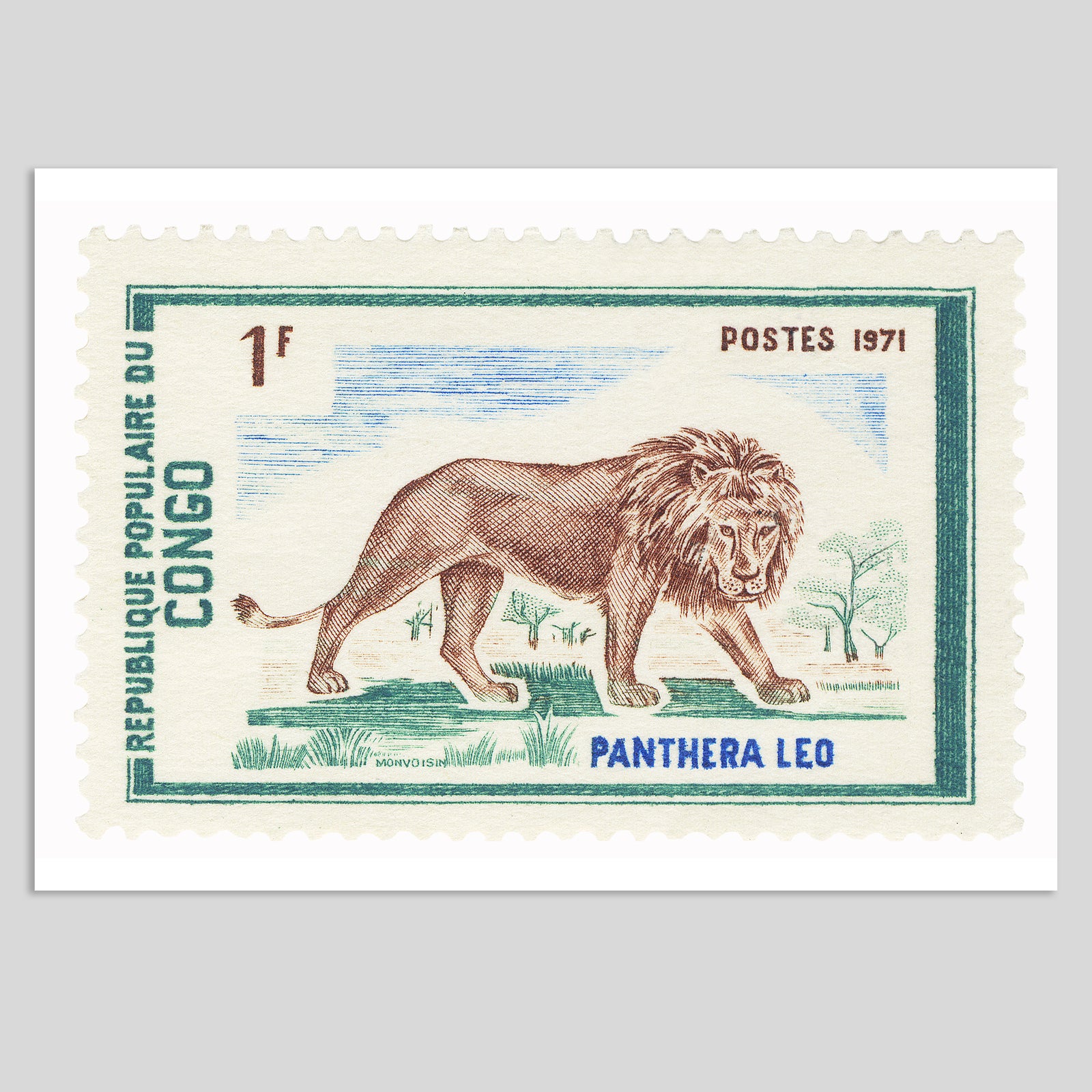 Congo Lion Fine Art Print