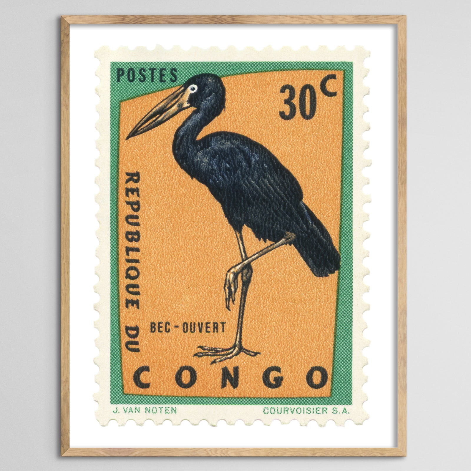Congo Black Stork Framed Print