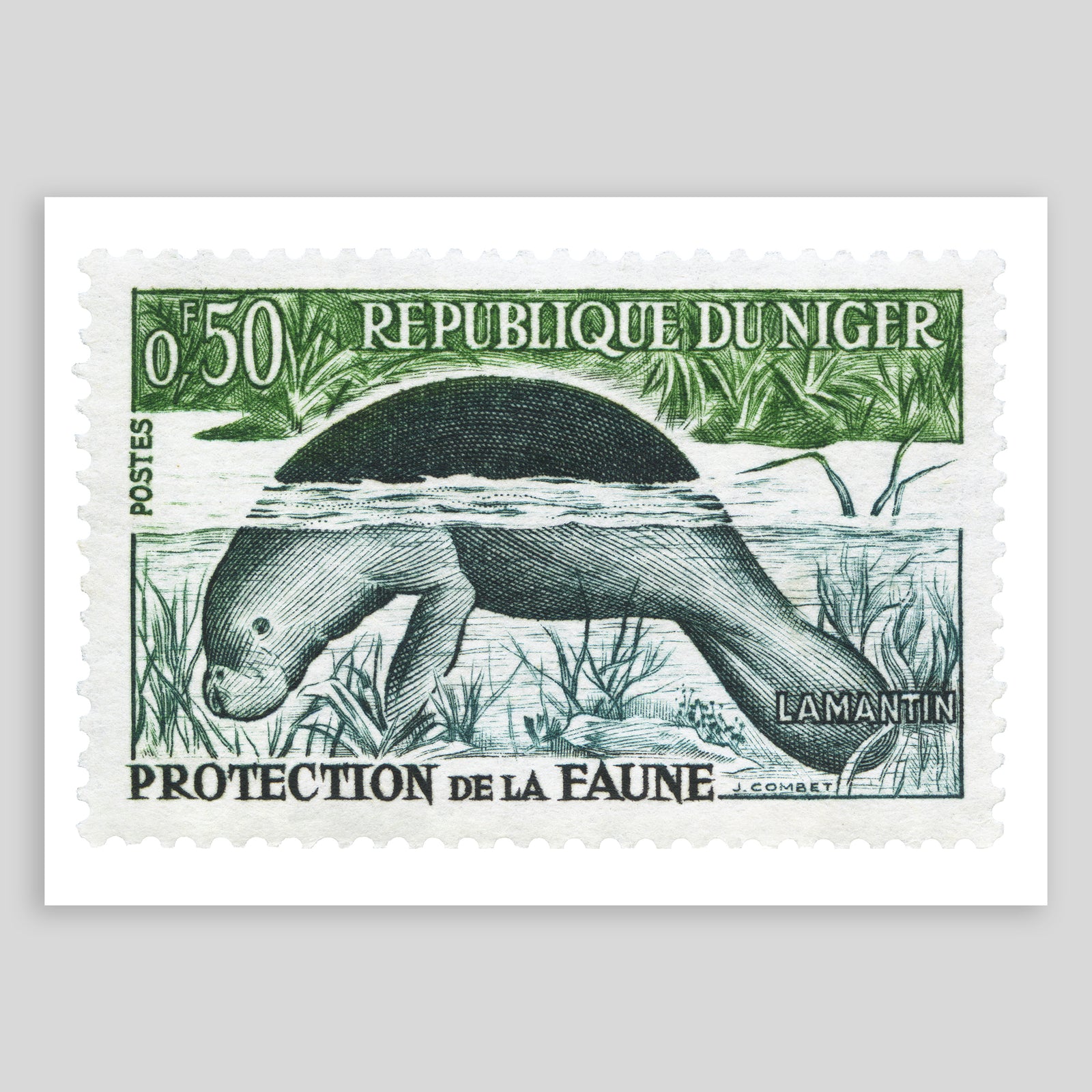 Niger Lamantin Fine Art Print