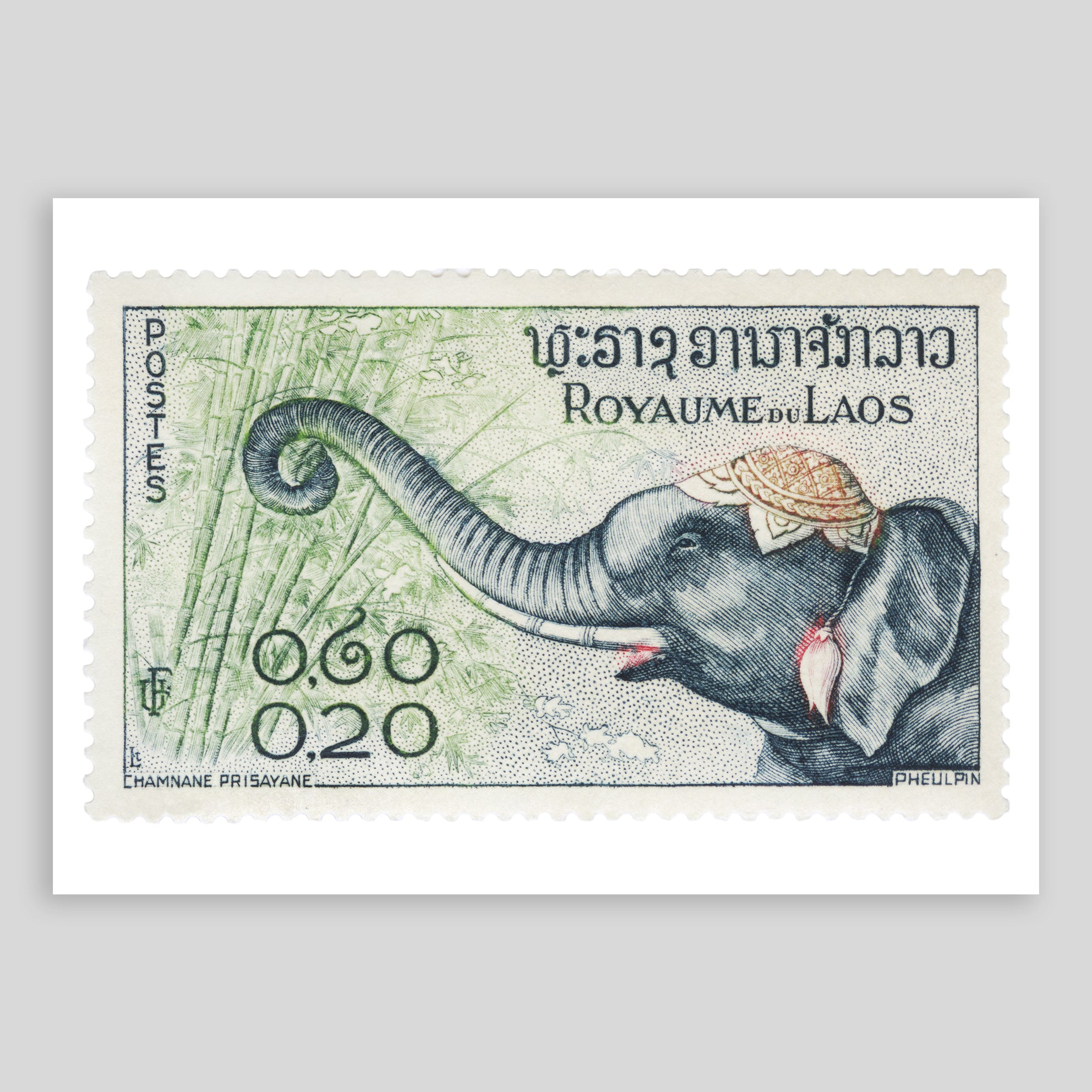 Laos Elephant Fine Art Print