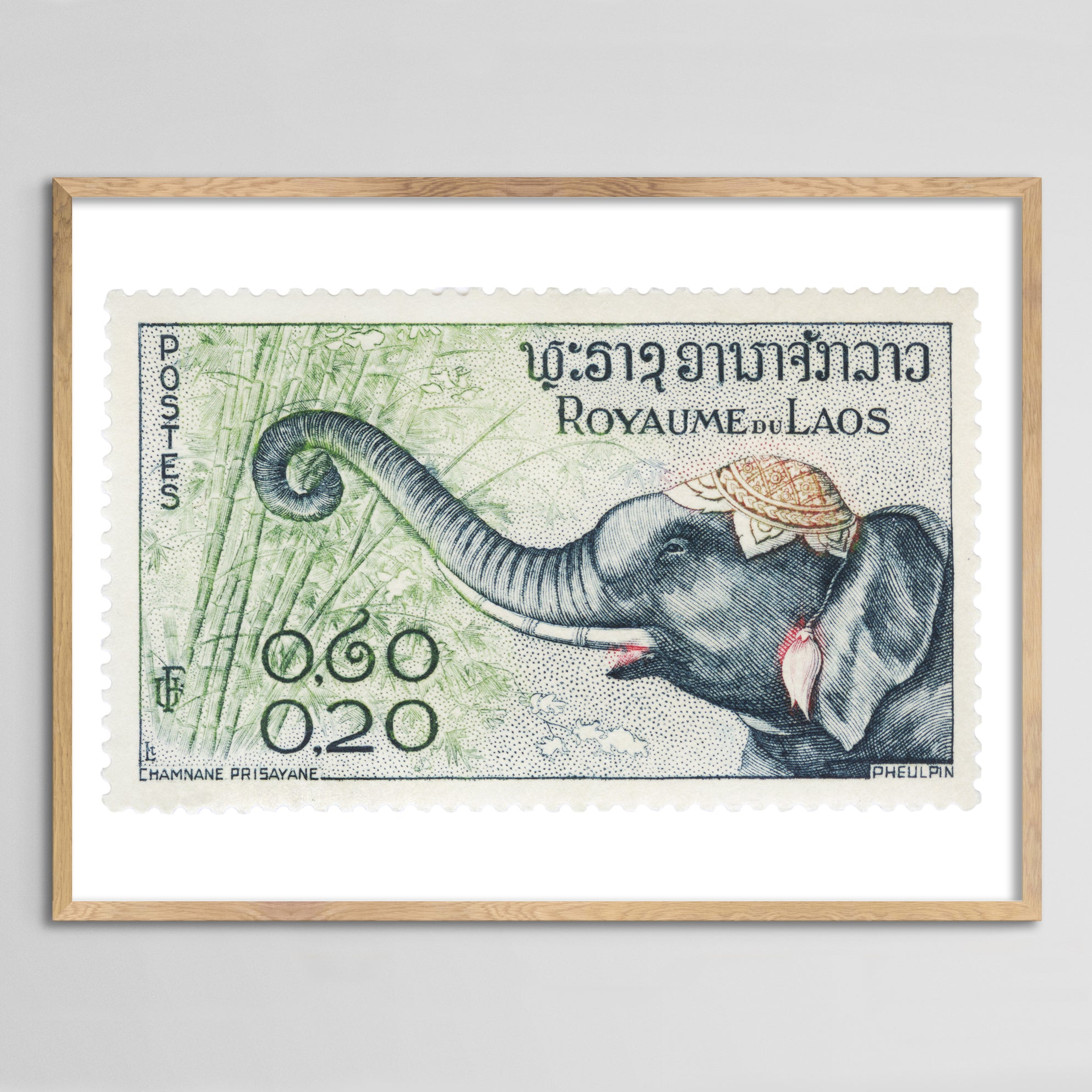 Laos Elephant Framed Print