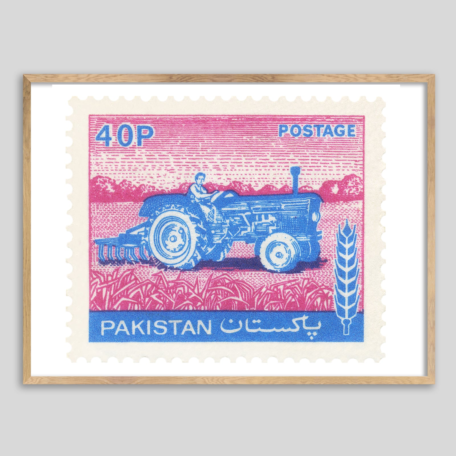 Pakistan Tractor Framed Print
