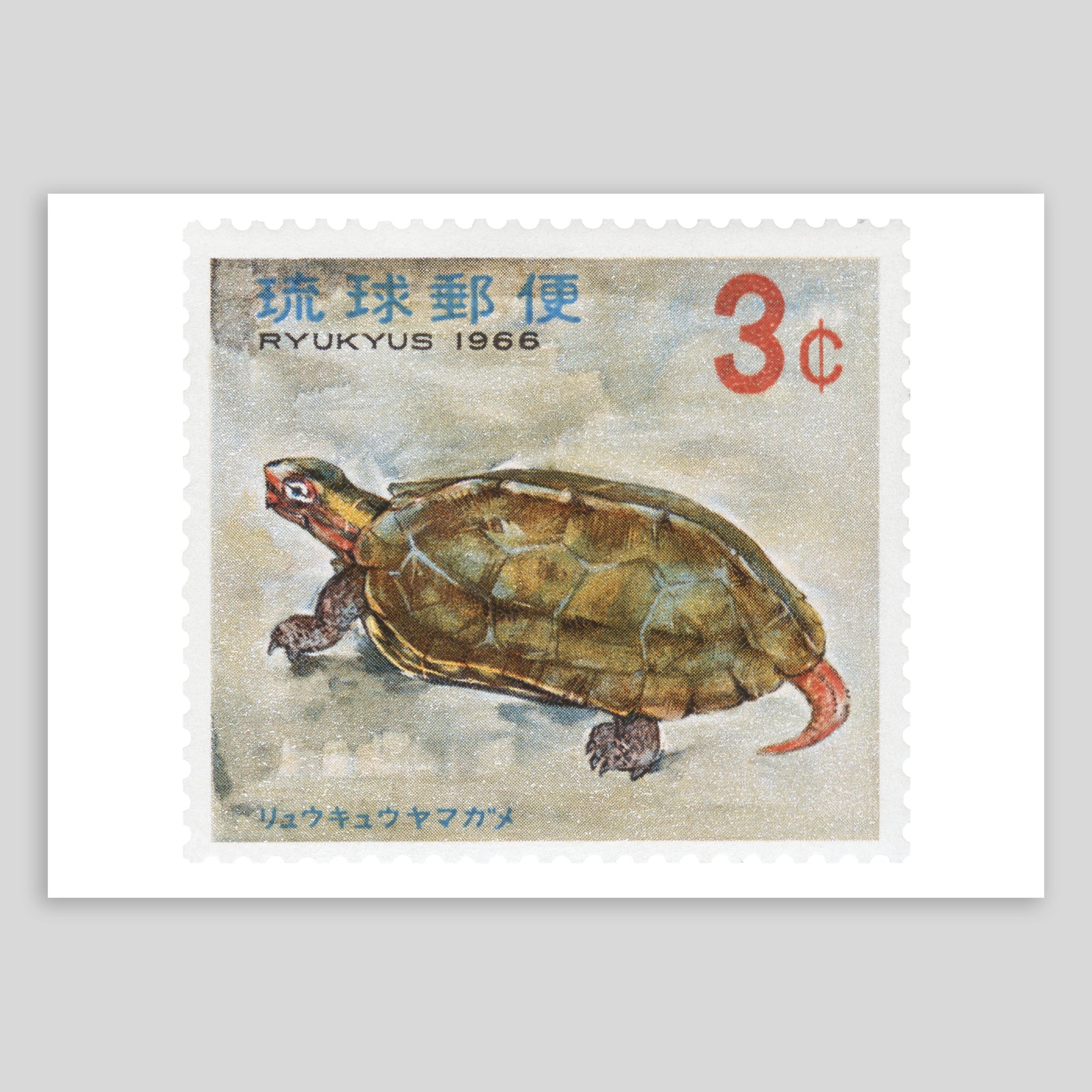 Ryukyus Turtle Fine Art Print