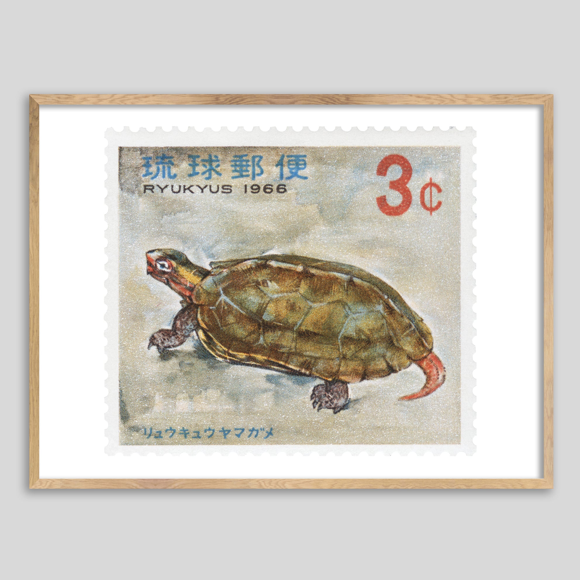 Ryukyus Turtle Framed Print