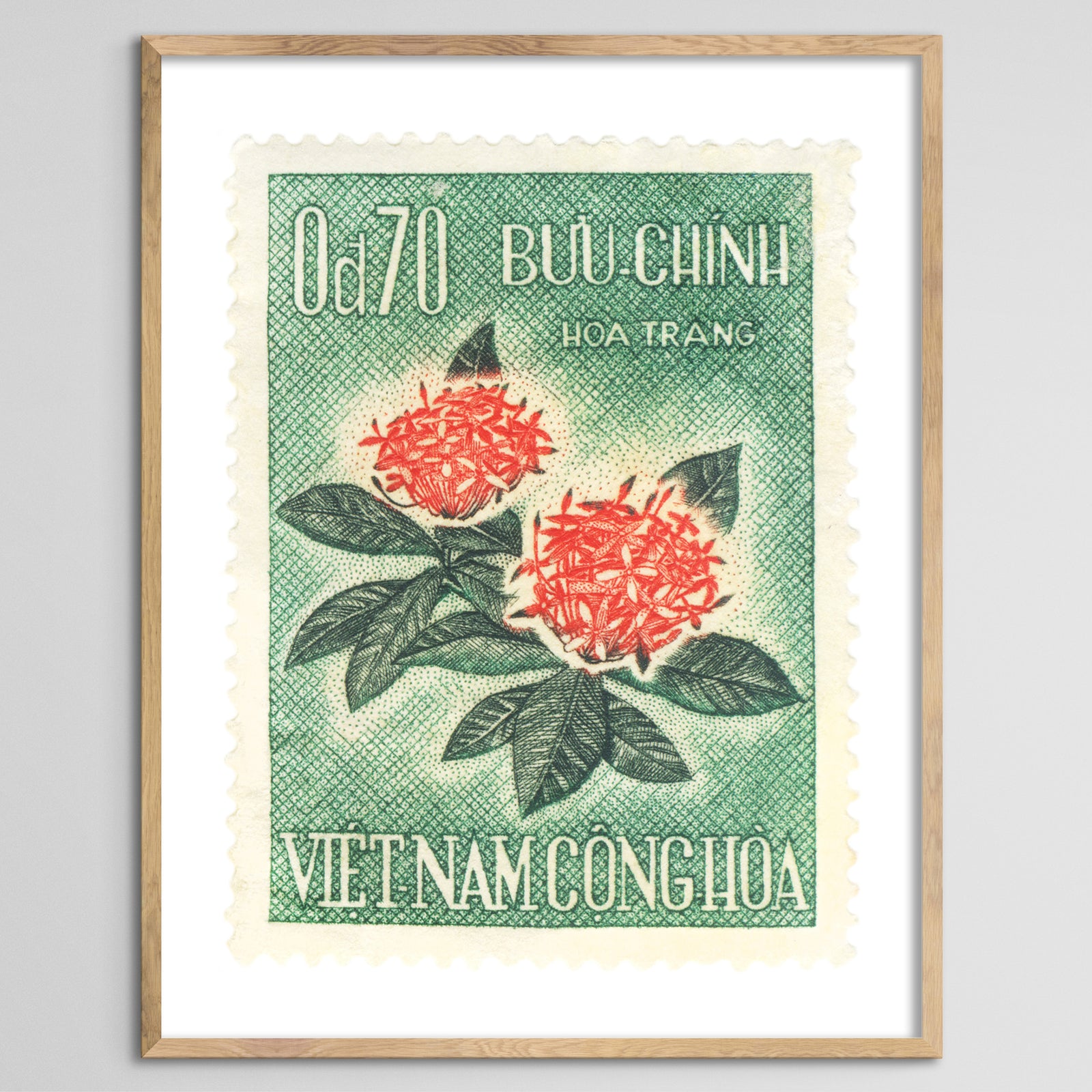 Vietnam Flowers Framed Print