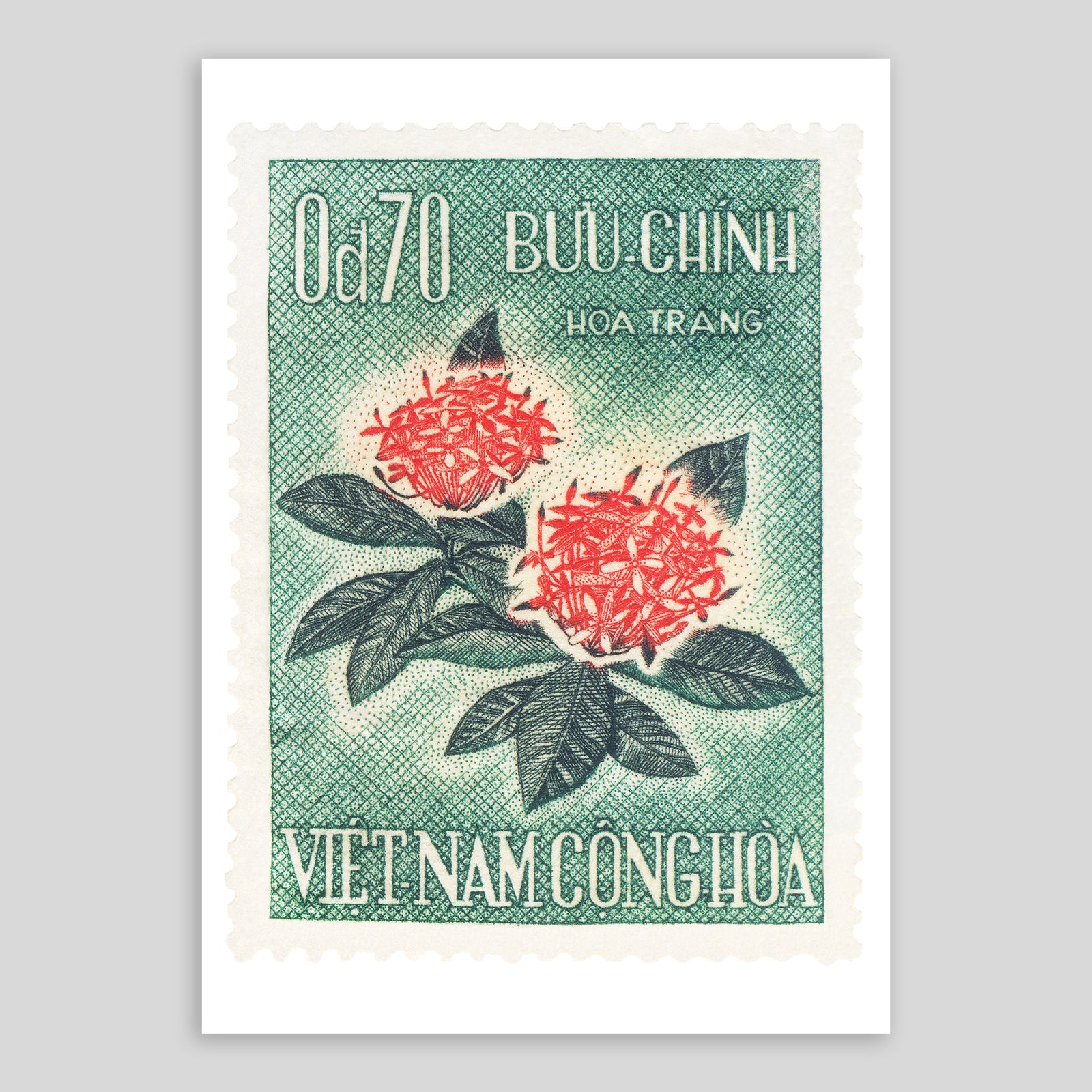 Vietnam Flowers Fine Art Print