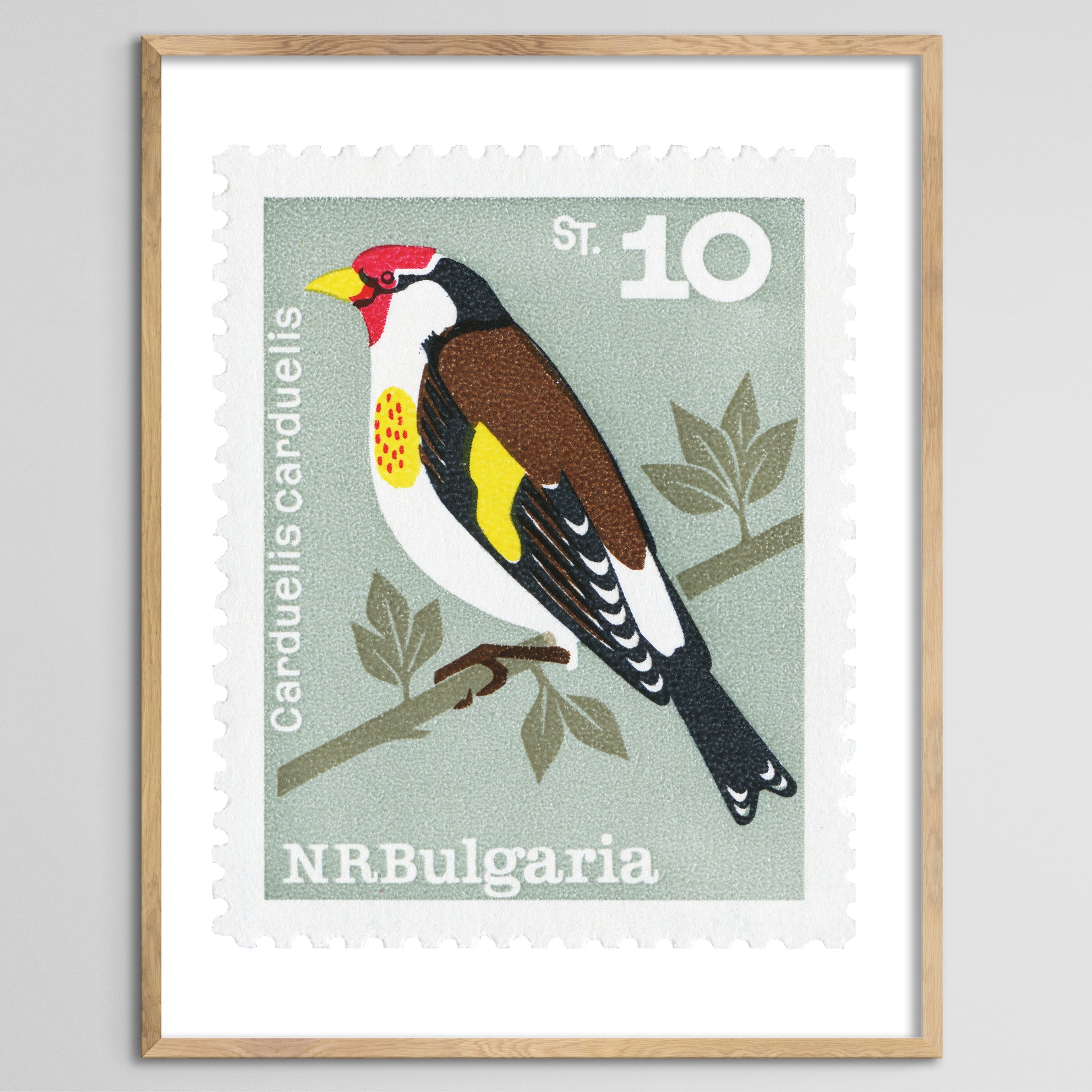 Bulgaria Carduelis Bird Framed Print