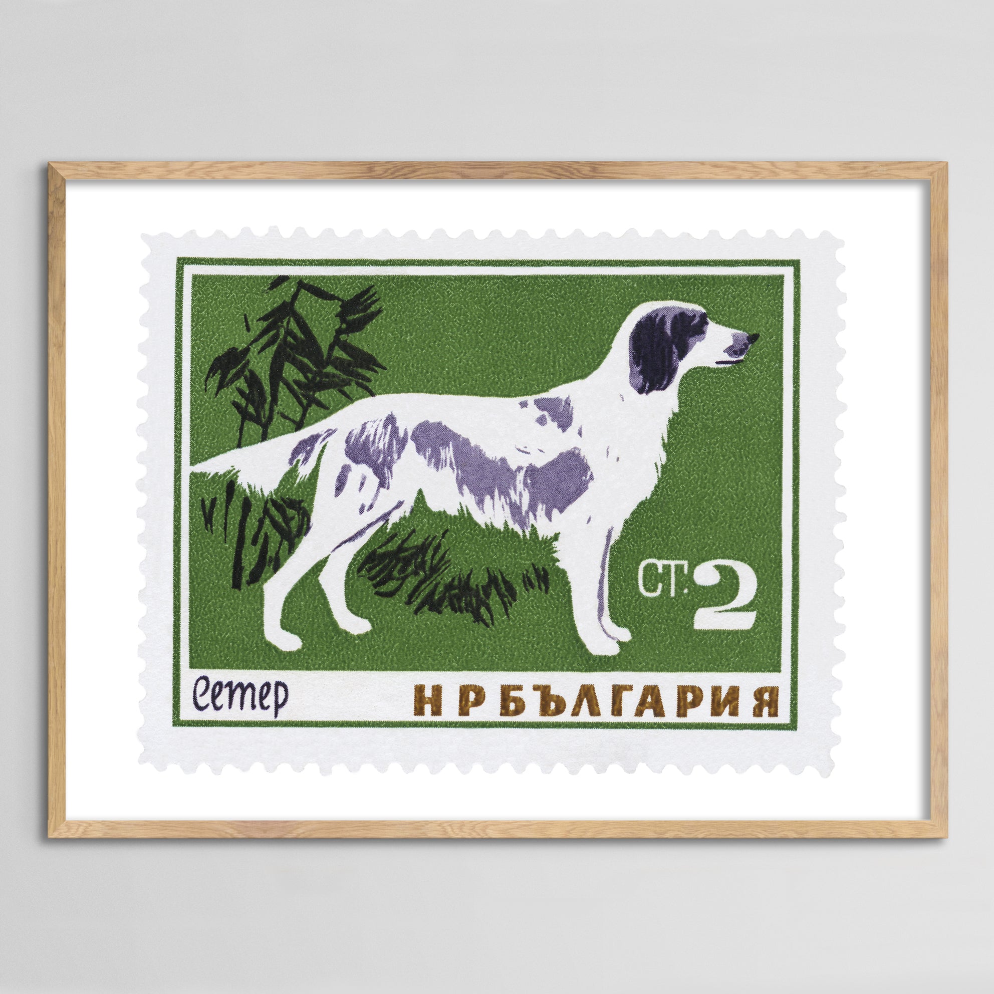 Bulgaria Dog Framed Print