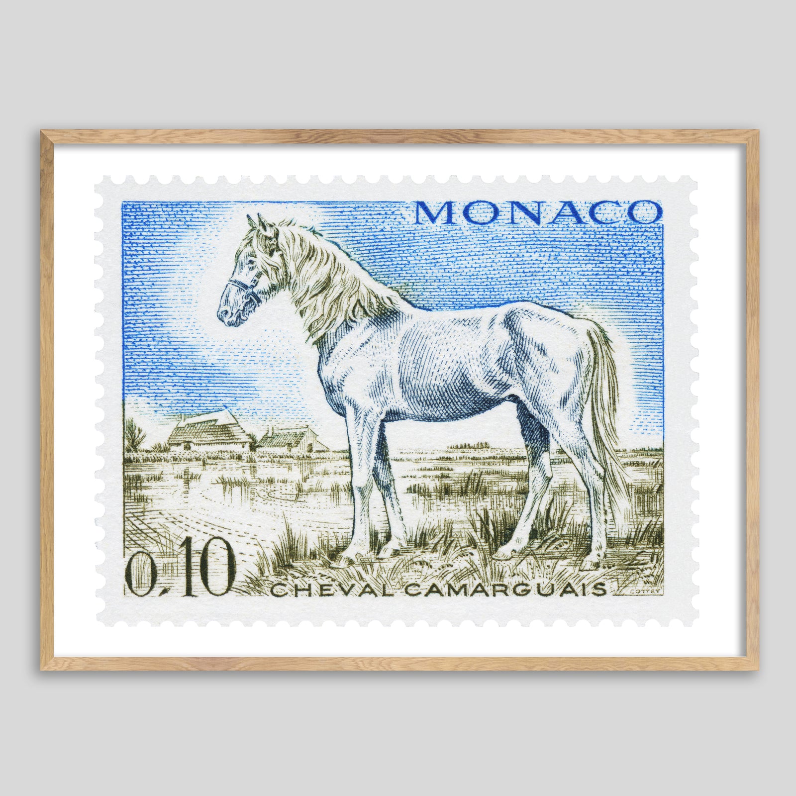 Monaco Camargue Horse Framed Print