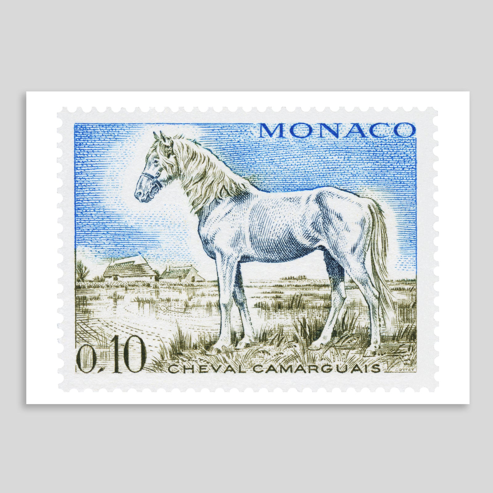 Monaco Camargue Horse Fine Art Print