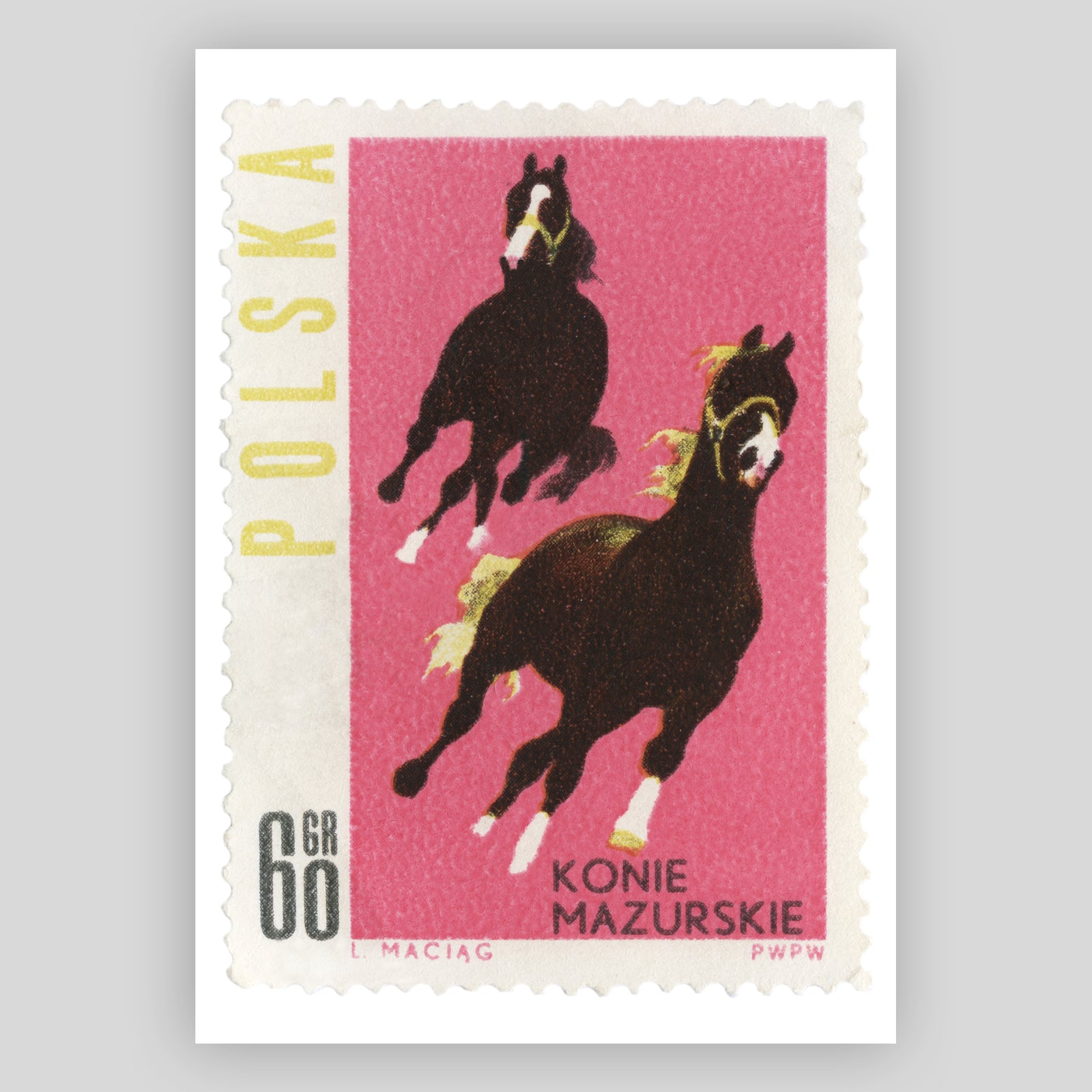 Poland Horses Pink Fine Art Print