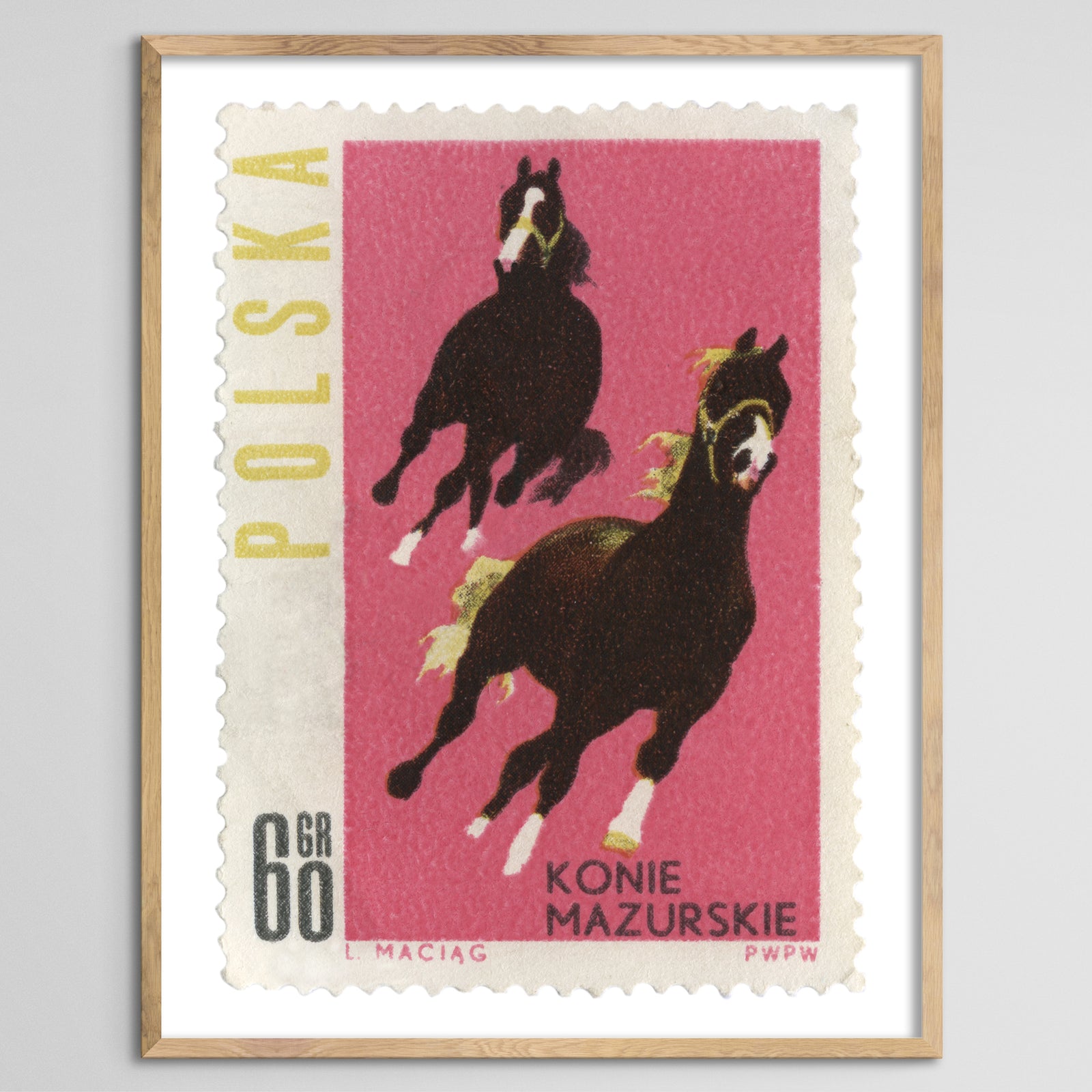 Poland Horses Pink Framed Print